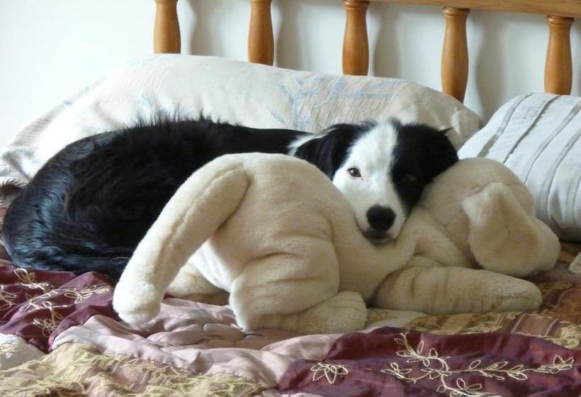 Bed and Breakfast Te Punga Private Room 17