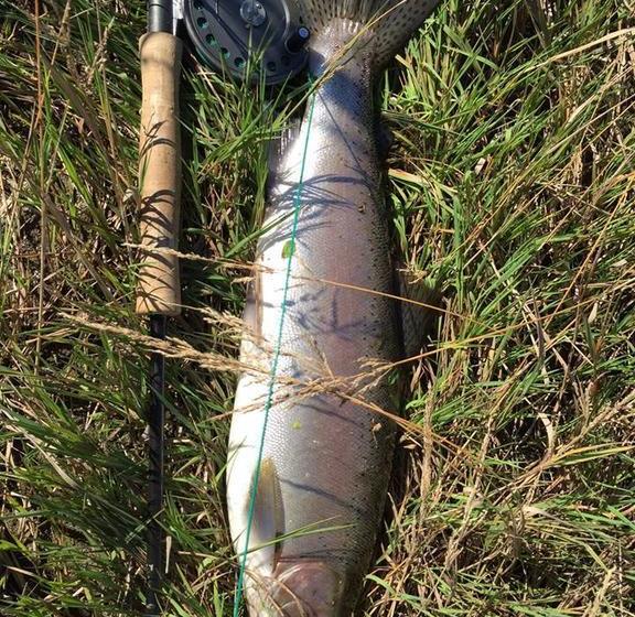 Hostel Extreme Backpackers 20