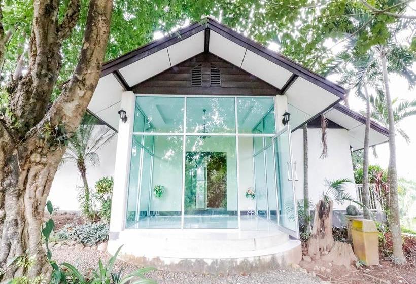 Hotel Nida Rooms Huay Rai Elephant Camp 3