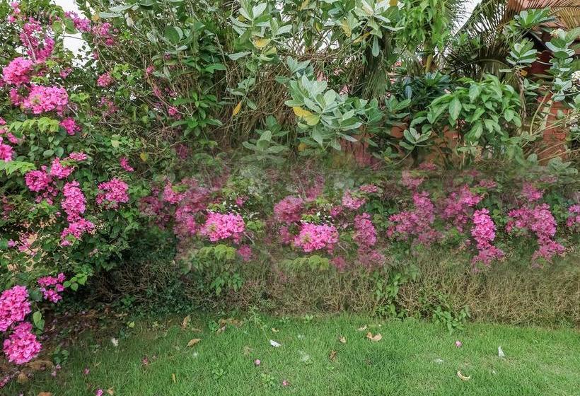 Hotel Nida Rooms Museum 907 Hat Yai 19