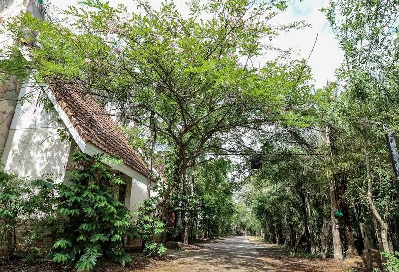 Hotel Nida Rooms Heart Of Khon Kaen City 19