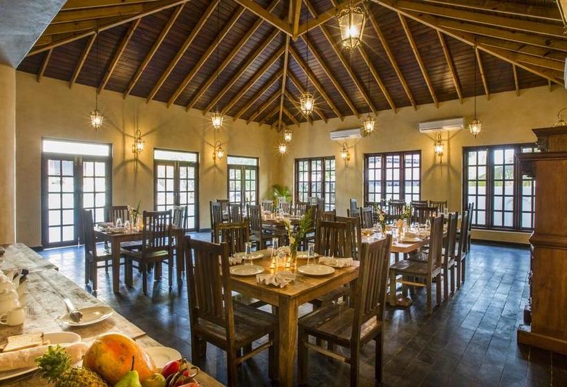 Resort Aura Spa Retreat Goa 10