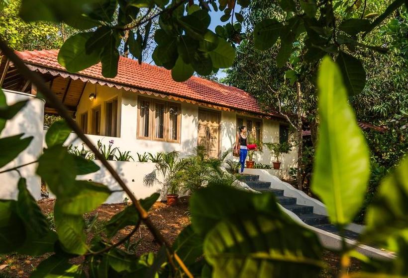 Resort Aura Spa Retreat Goa 15