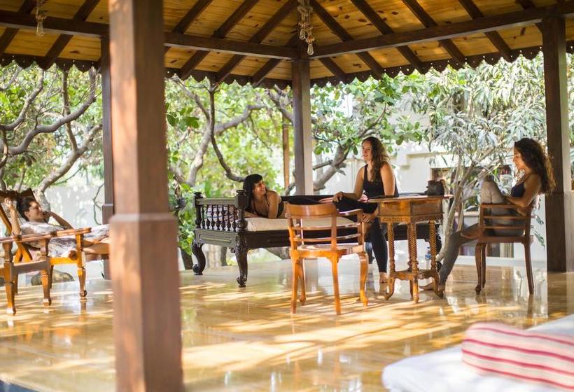 Resort Aura Spa Retreat Goa 3