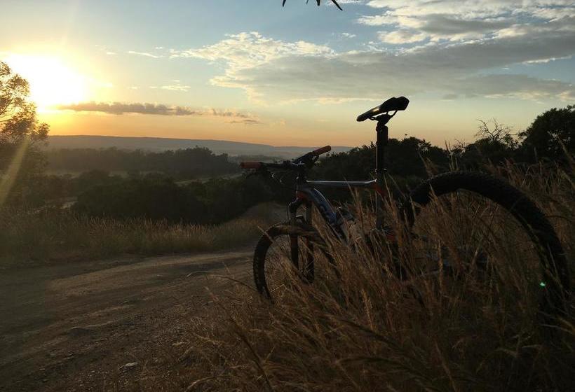 Hostel Dullstroom Backpackers 1