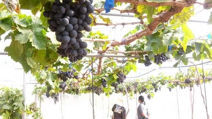 Mon Muang Ngam Resort 16