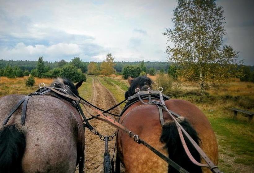 Hotel Aprotos Lüneburger Hof 19