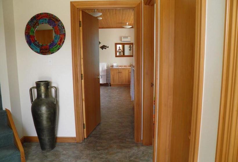 Rarangi Seaview On The Beach B&b 12