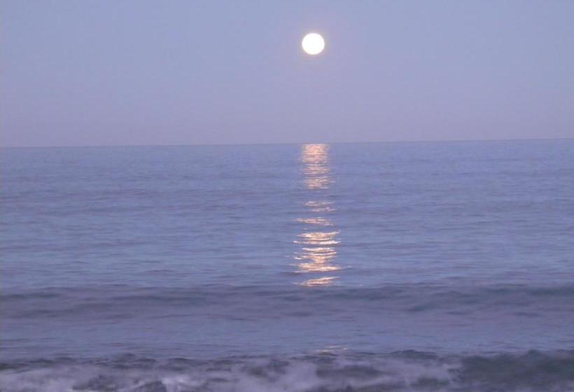 Rarangi Seaview On The Beach B&b 16