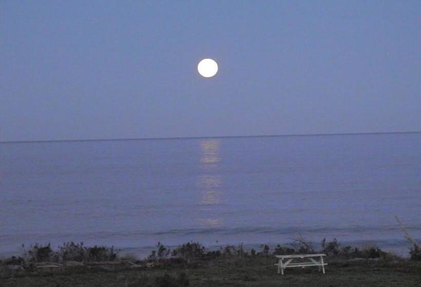 Rarangi Seaview On The Beach B&b 17