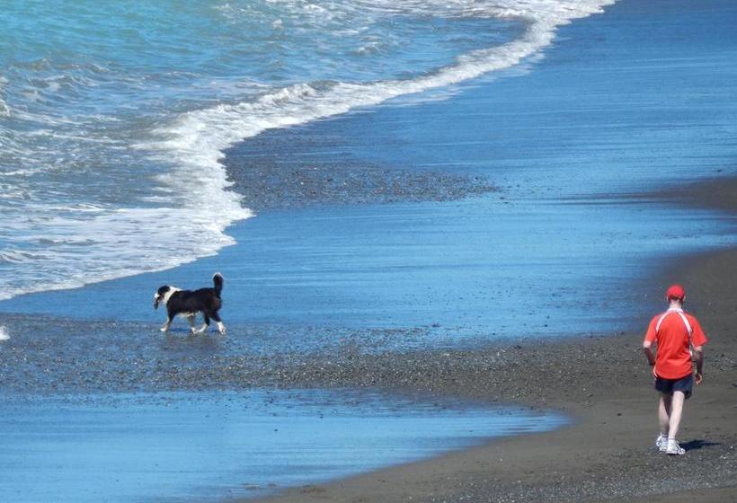 Rarangi Seaview On The Beach B&b 18