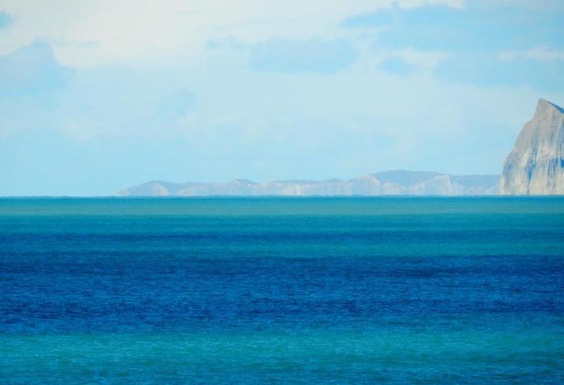 Rarangi Seaview On The Beach B&b 19