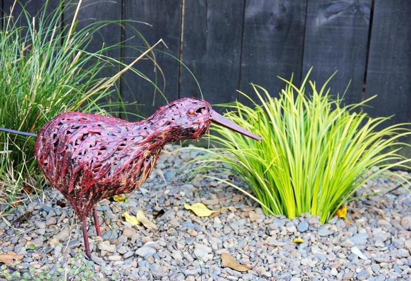 Bed and Breakfast Tussock Lodge Whitianga 4