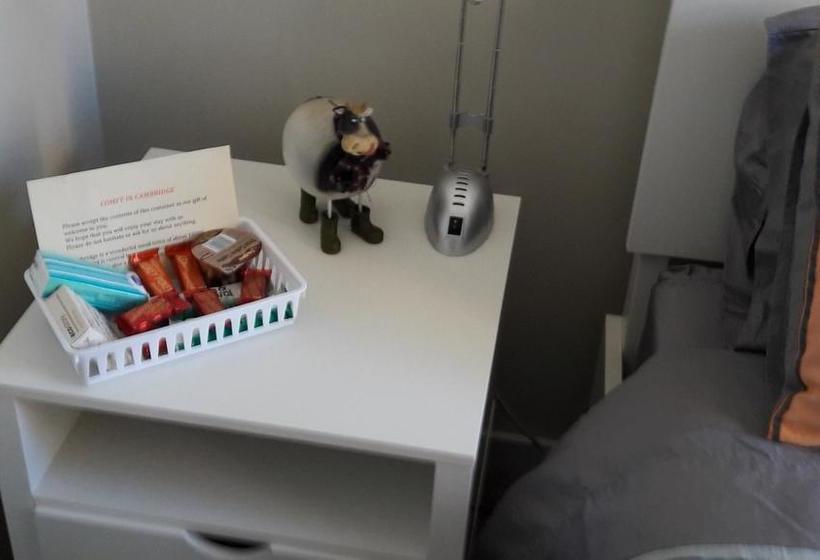 Bed and Breakfast Comfy In Cambridge 1