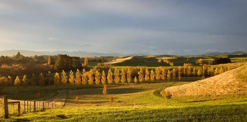 Tree House Lodge Bed & Breakfast 12