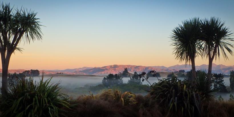 Tree House Lodge Bed & Breakfast 13