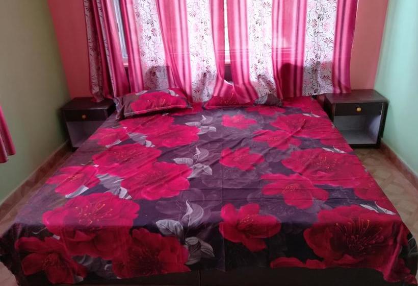 Hotel Maya Himachal Pradesh