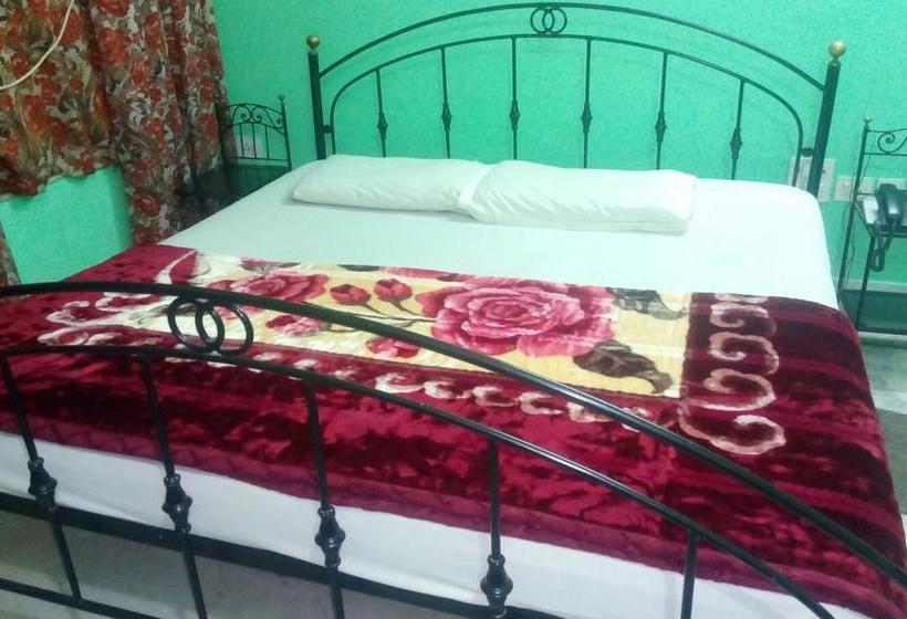 Hotel New Binapani Lodge Deluxe Ii 11