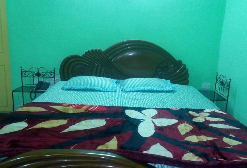 Hotel New Binapani Lodge Deluxe Ii 8