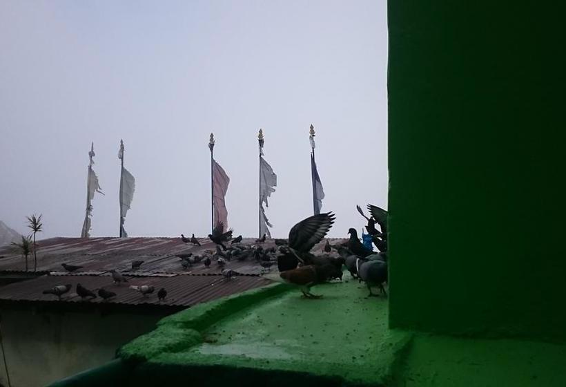 Gohills Gangtok Bed & Breakfast 14