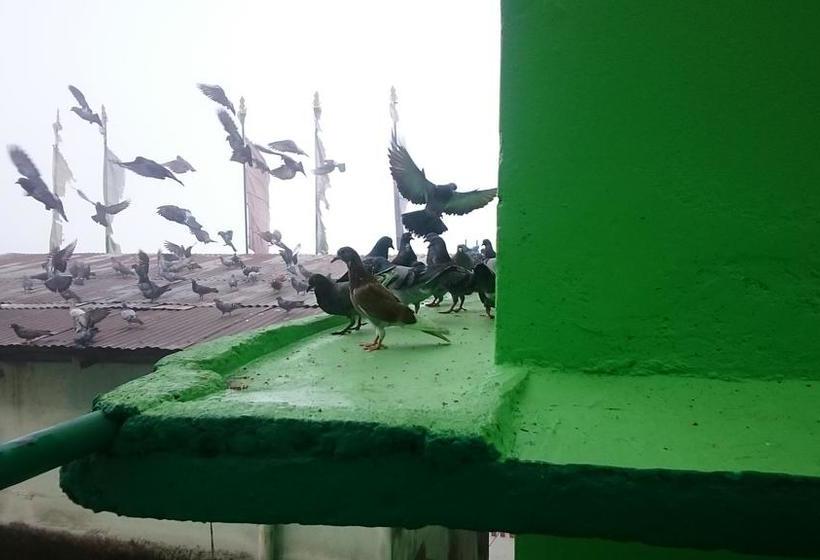 Gohills Gangtok Bed & Breakfast 15