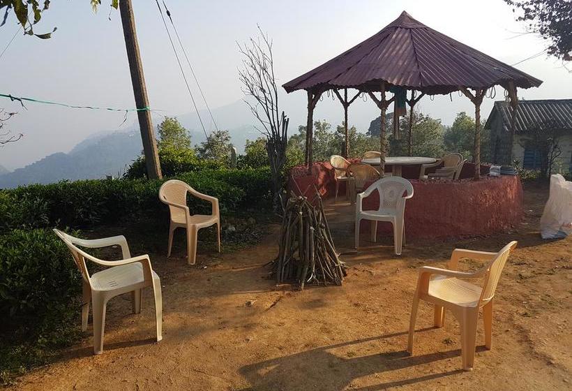 Hotel Cascademeadows Falls View Ooty 10