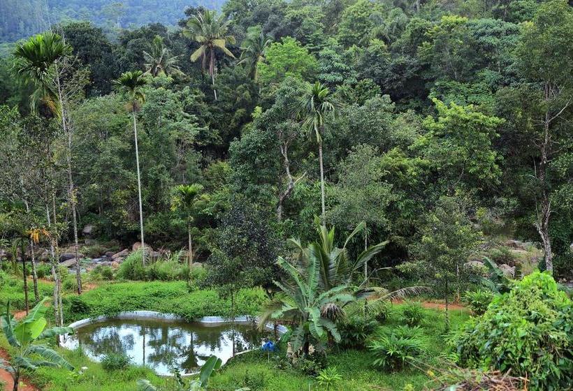 Ayursakthi Riverdale Resorts 12