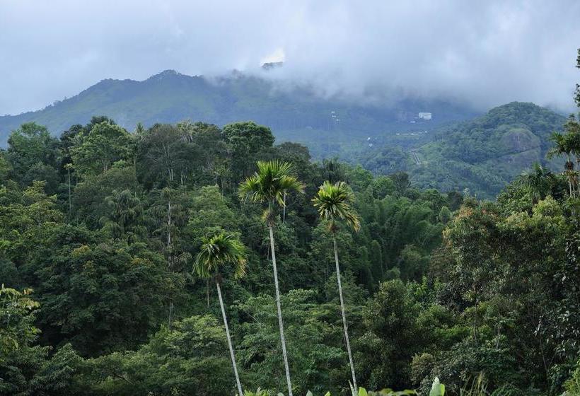 Ayursakthi Riverdale Resorts 13