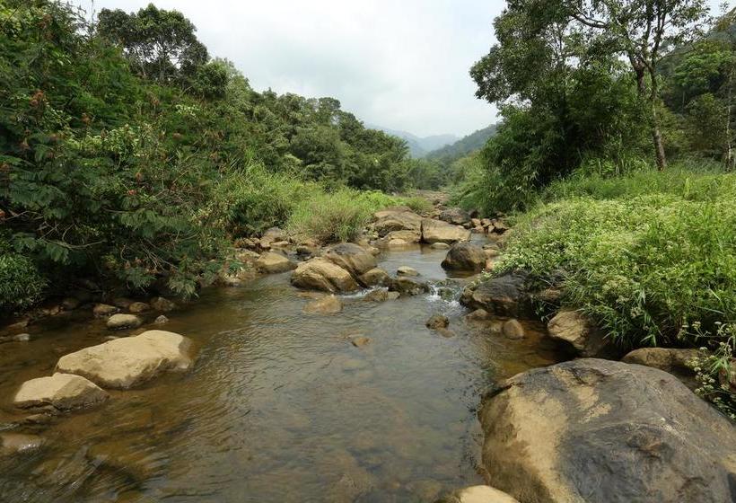 Ayursakthi Riverdale Resorts 17