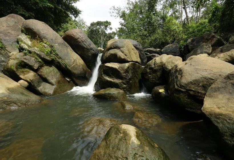 Ayursakthi Riverdale Resorts 19