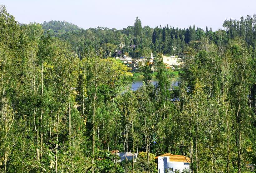 Hotel Premier Inn 19