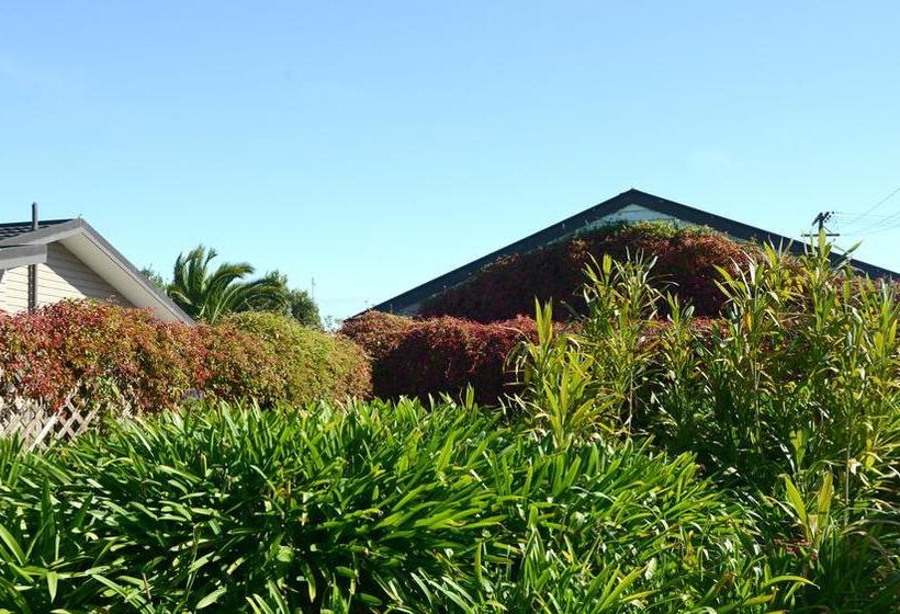 Carters Beach Bed & Breakfast 14