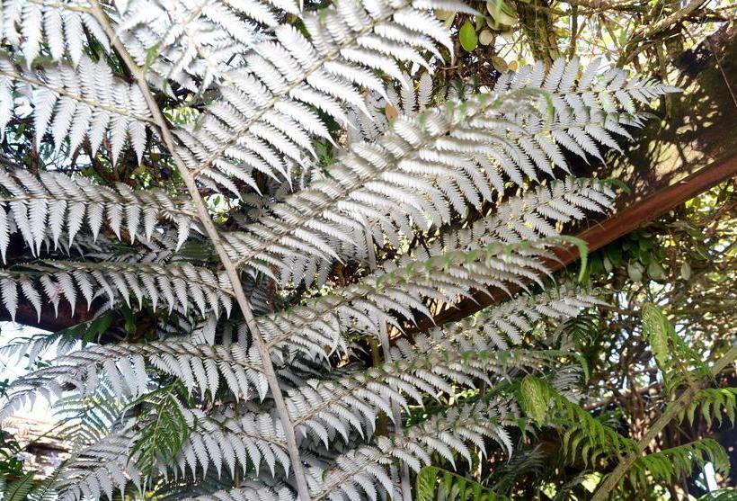 Carters Beach Bed & Breakfast 15