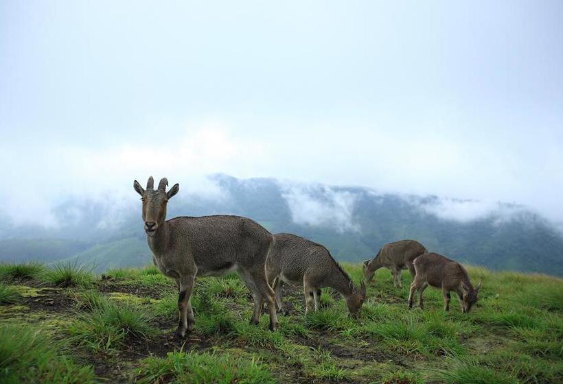 Resort Happylife Tribal Hut Stay Munnar 2