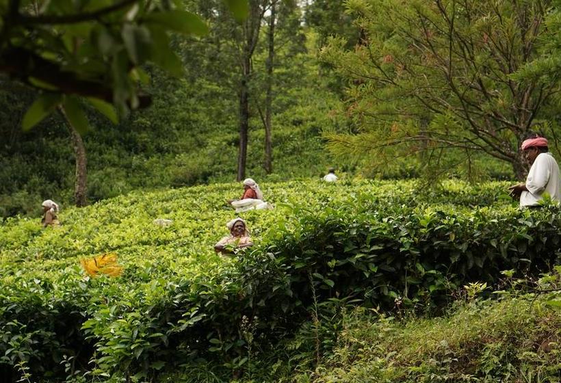 Resort Happylife Tribal Hut Stay Munnar 5