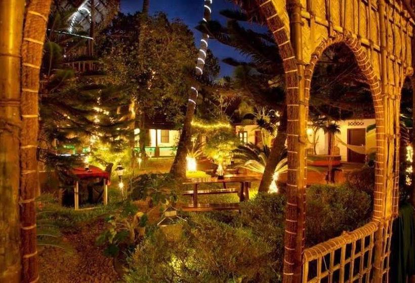 Bed and Breakfast Avocado