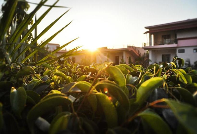 Hotel Ranthambore Bagh Palace 8