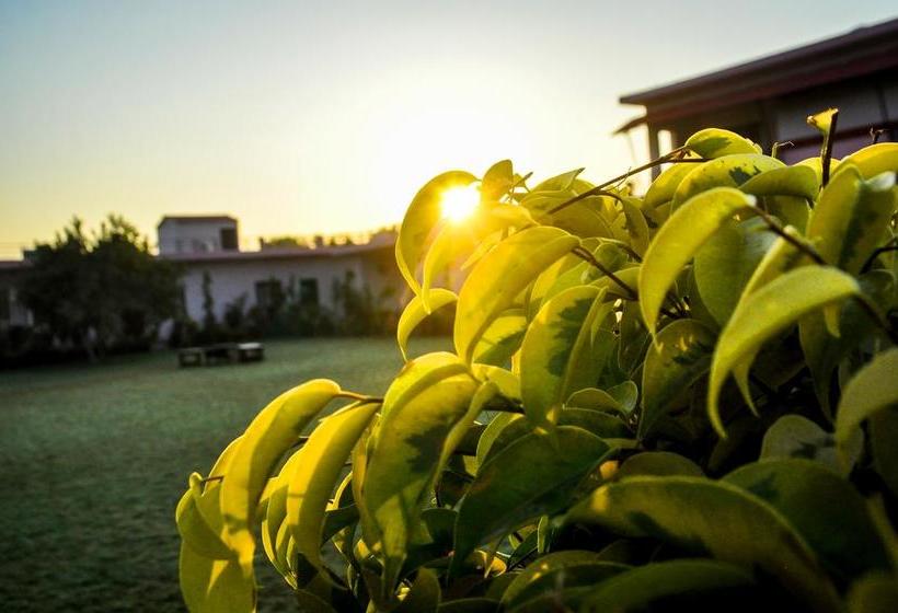 Hotel Ranthambore Bagh Palace 9