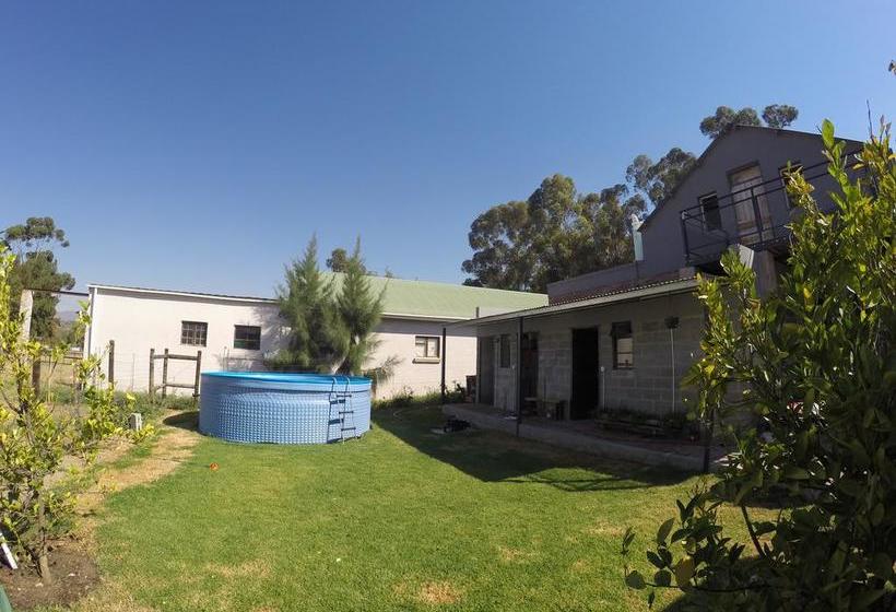 Hostel Greenhouse Accommodation 15