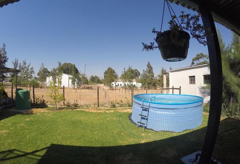 Hostel Greenhouse Accommodation 16