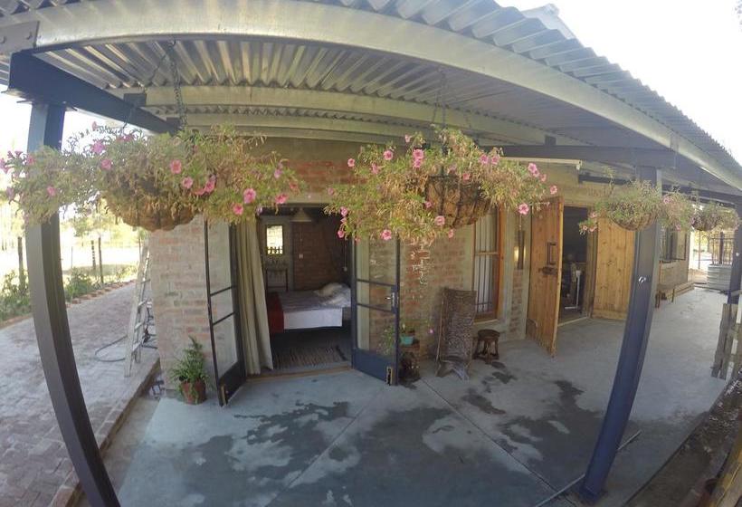 Hostel Greenhouse Accommodation 17