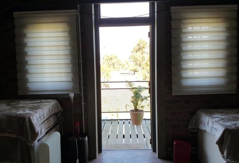 Hostel Greenhouse Accommodation 3