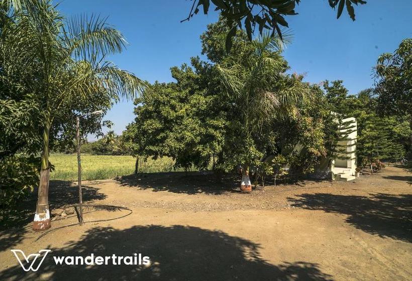 Resort Gir Paradise A Wandertrails Stay 1