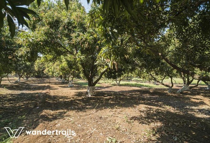 Resort Gir Paradise A Wandertrails Stay 17