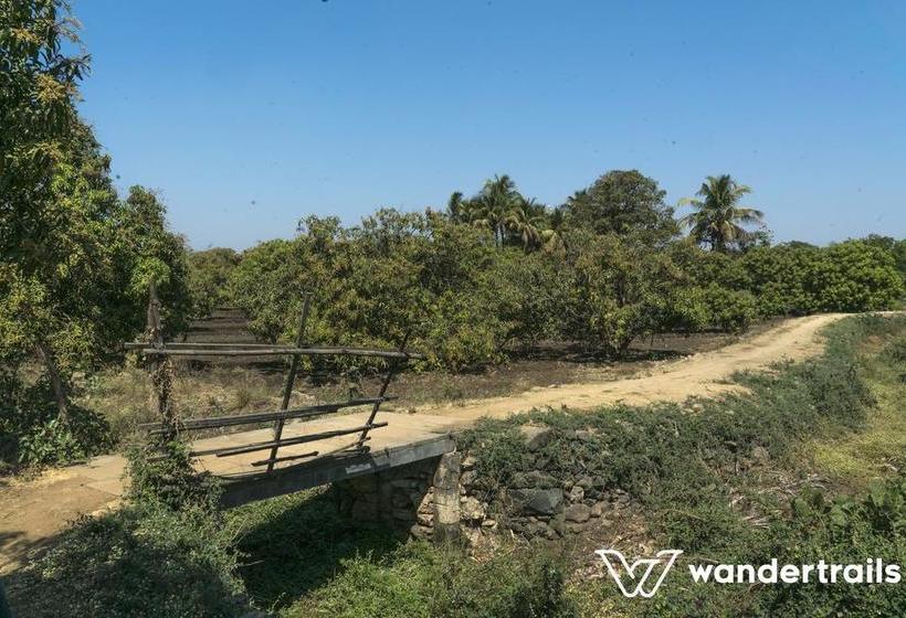 Resort Gir Paradise A Wandertrails Stay 2