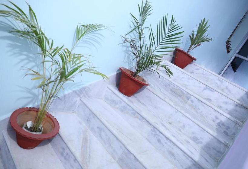 Hotel Comfort International 4