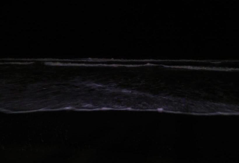 Hotel Sea Meridian 4