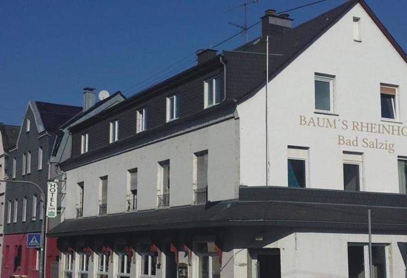 Hotel BaumŽs Rhein 1
