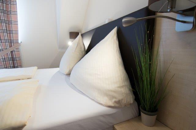 Hotel BaumŽs Rhein 10