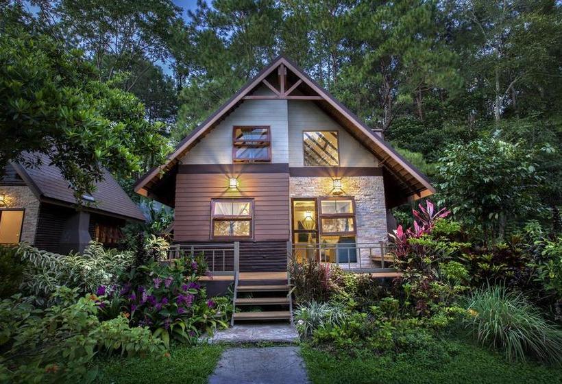 Khaokhoherbary Organicfarm&resort Khao Kho Phetchabun